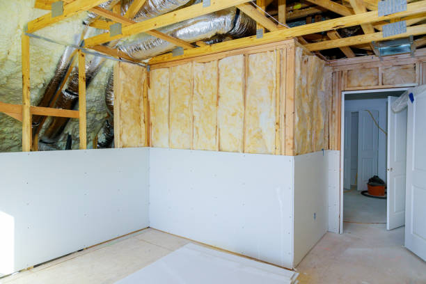 Best Residential Insulation in Cane Savannah, SC