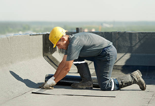 Best Specialty Insulation in Cane Savannah, SC
