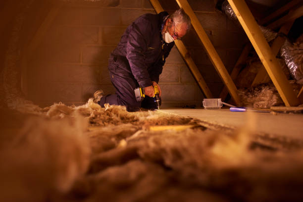 Best Insulation for Specific Applications in Cane Savannah, SC